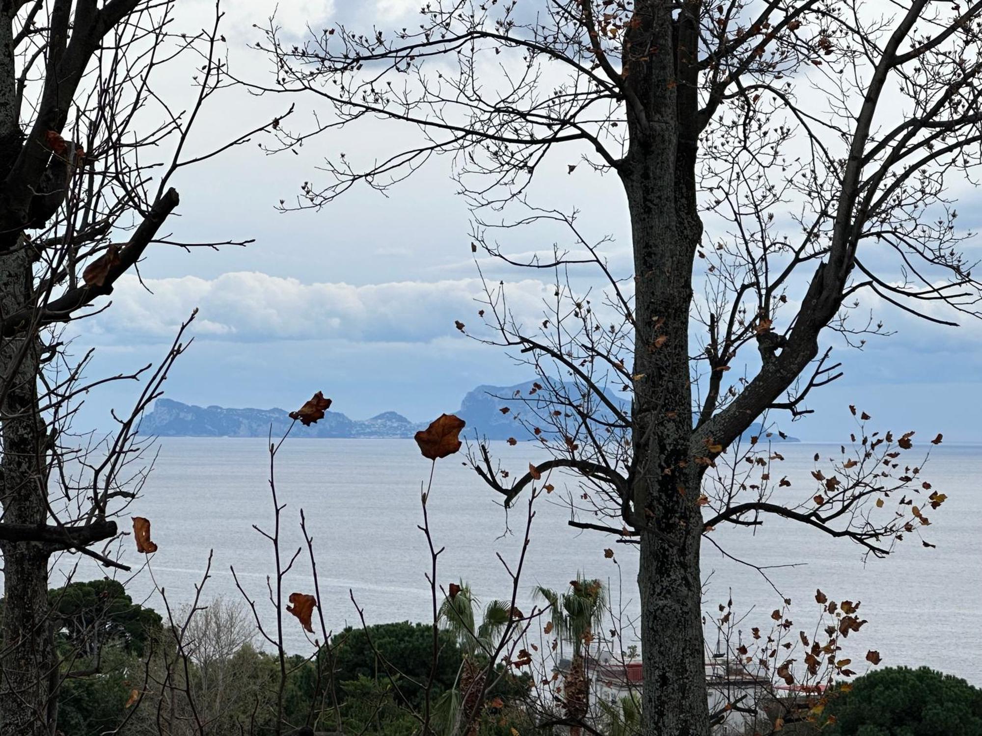 Pf Luxury Petrarca Posillipo Capri View - My Place * Naples